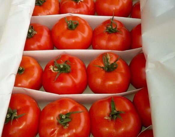 Каждый год пользуюсь проверенными способами хранения томатов, которые позволяют сохранить урожай